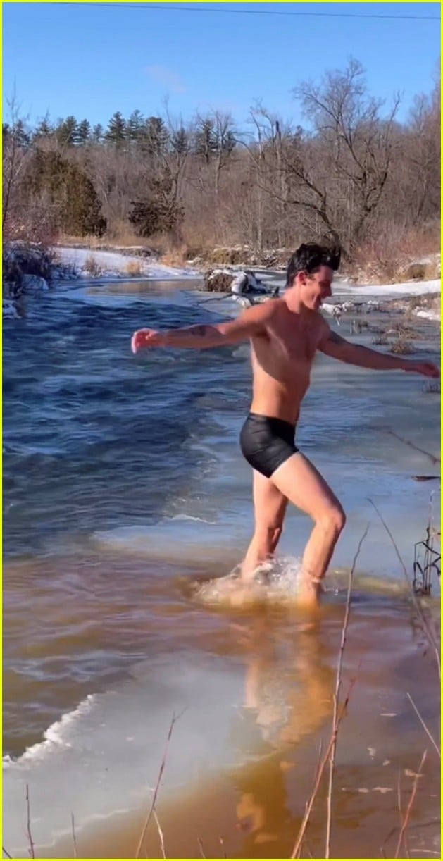 Shawn Mendes Braved The Freezing Cold Water For A Christmas Day Plunge