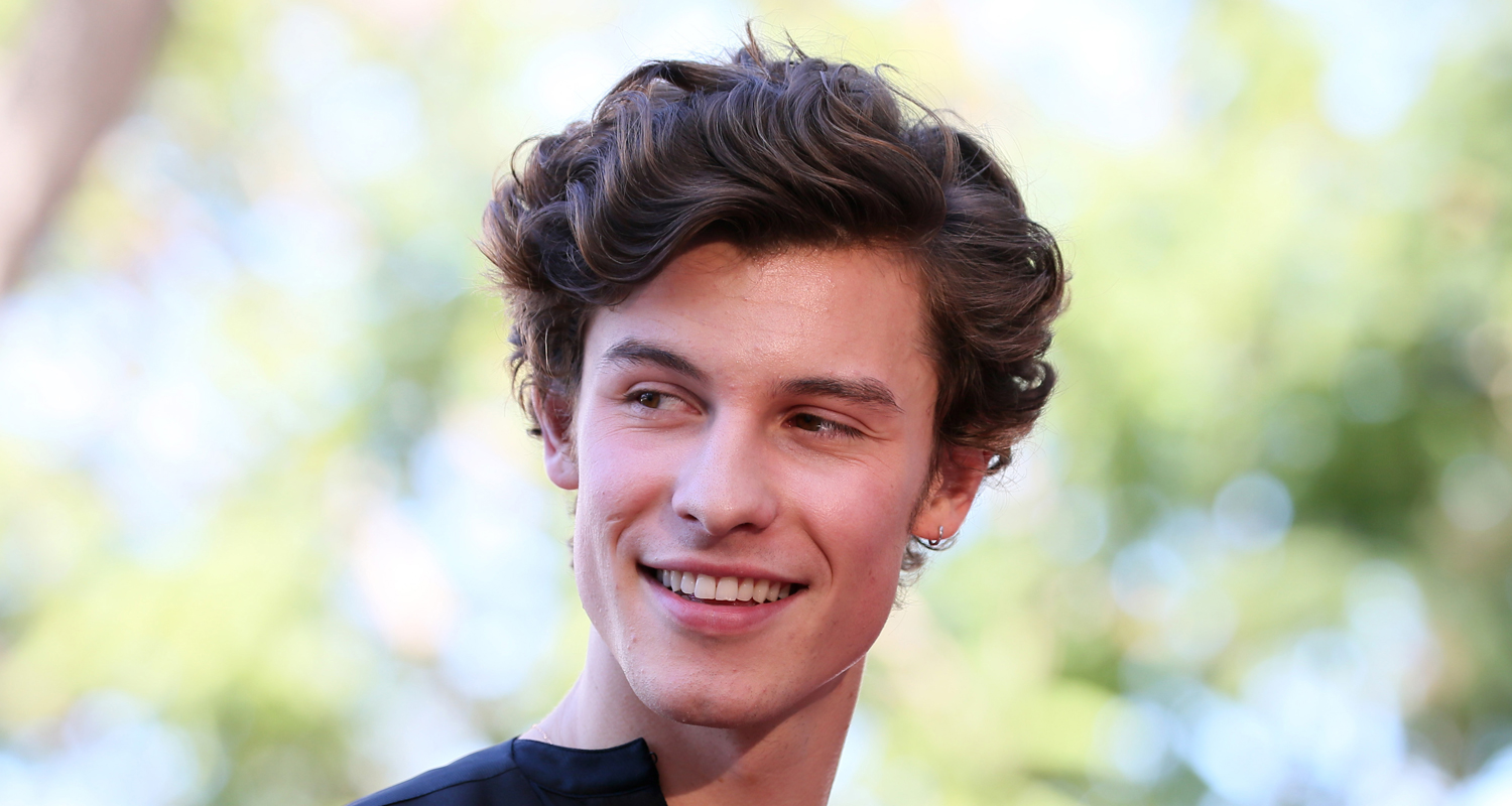 Shawn Mendes To Premiere In Wonder Documentary On Netflix Netflix