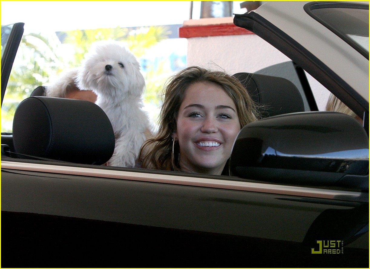 miley cyrus in out burger 02