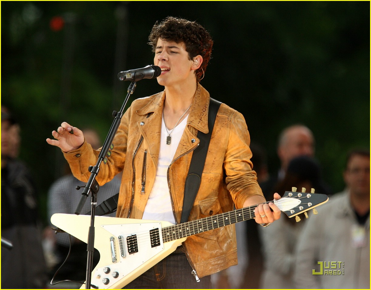 jonas brothers central park party 10
