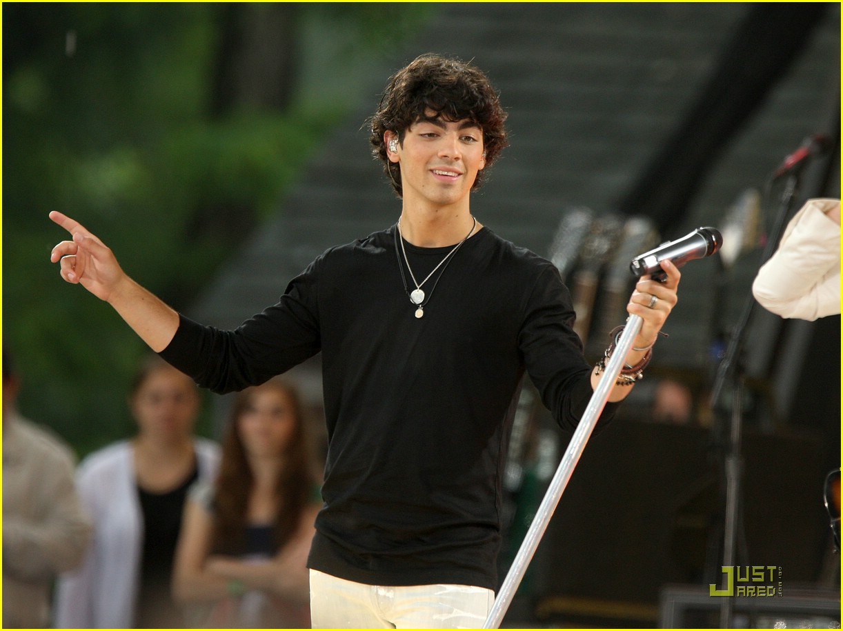 jonas brothers central park party 15