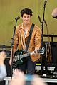 jonas brothers central park party 03