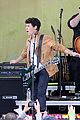 jonas brothers central park party 22