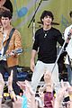 jonas brothers central park party 45