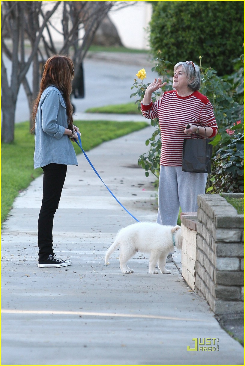 Miley cyrus dog store mate