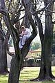 kellan lutz climbs tree reads book 18