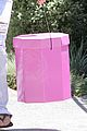 ashley tisdale pink box 15