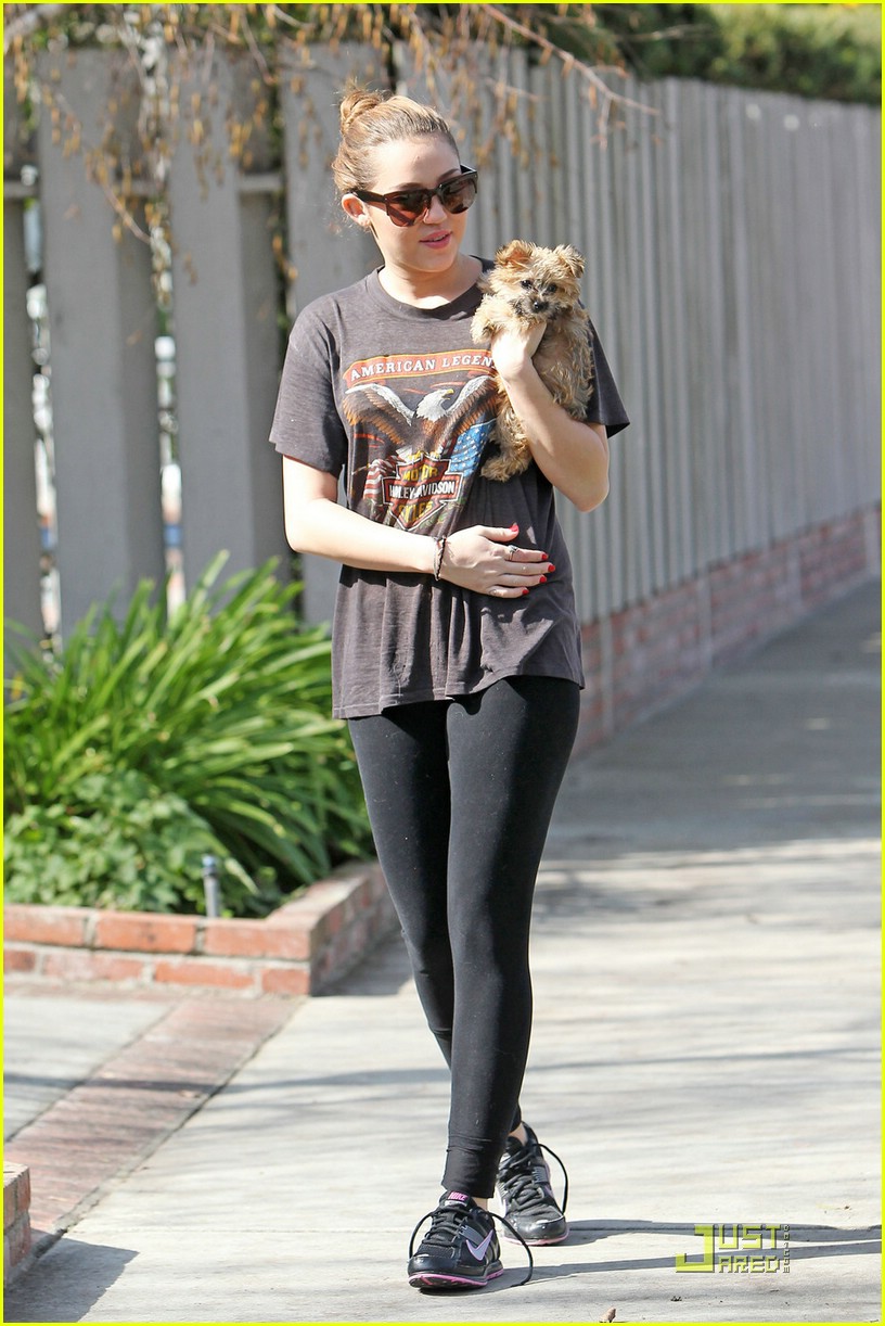 miley cyrus new pup 08
