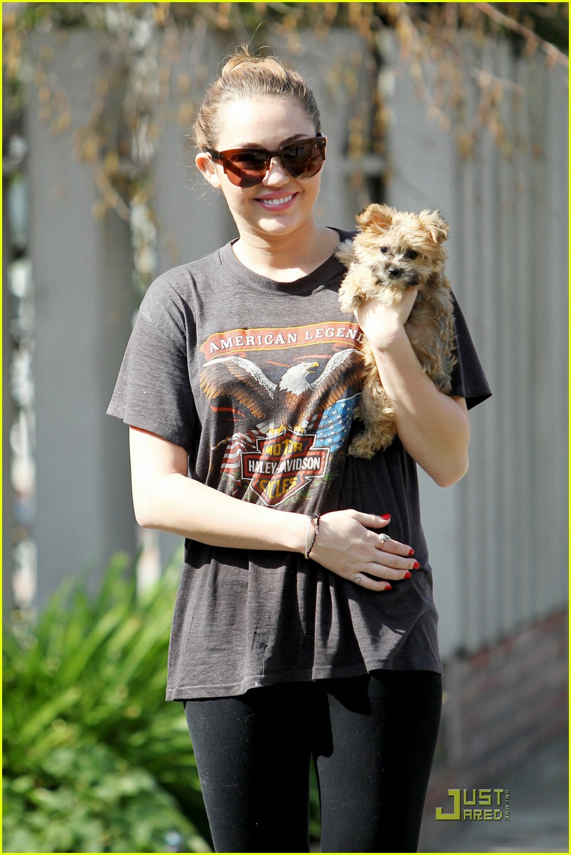 miley cyrus new pup 10