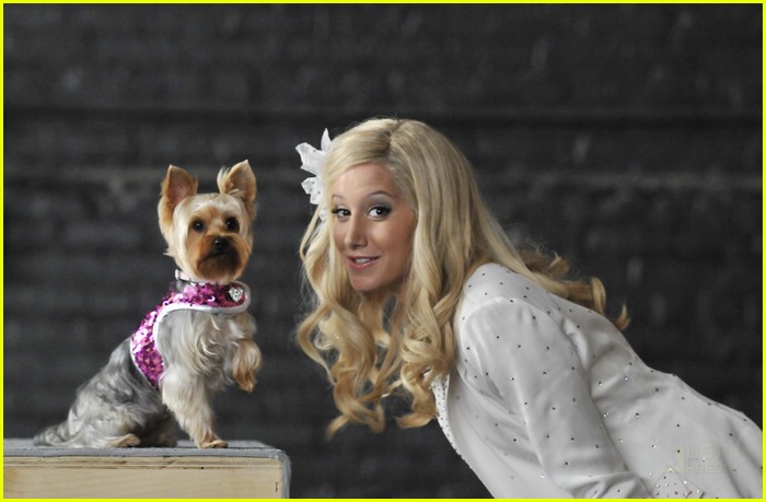 ashley tisdale sharpay dogs 20