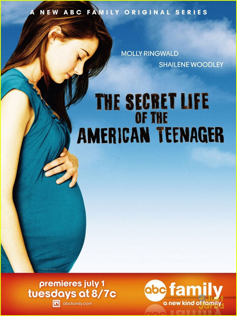 secret life posters 01