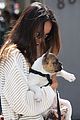 jamie chung vancouver puppy 07