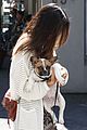 jamie chung vancouver puppy 10