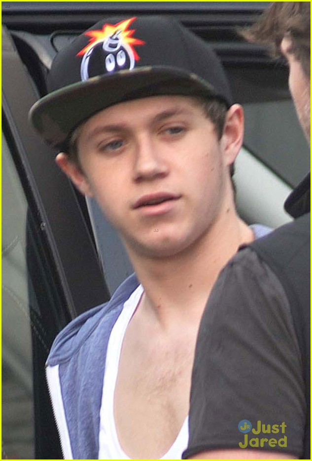 niall horan i love my country and my job 02