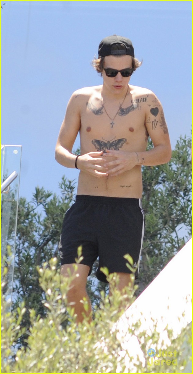 harry styles shirtless pool party 03