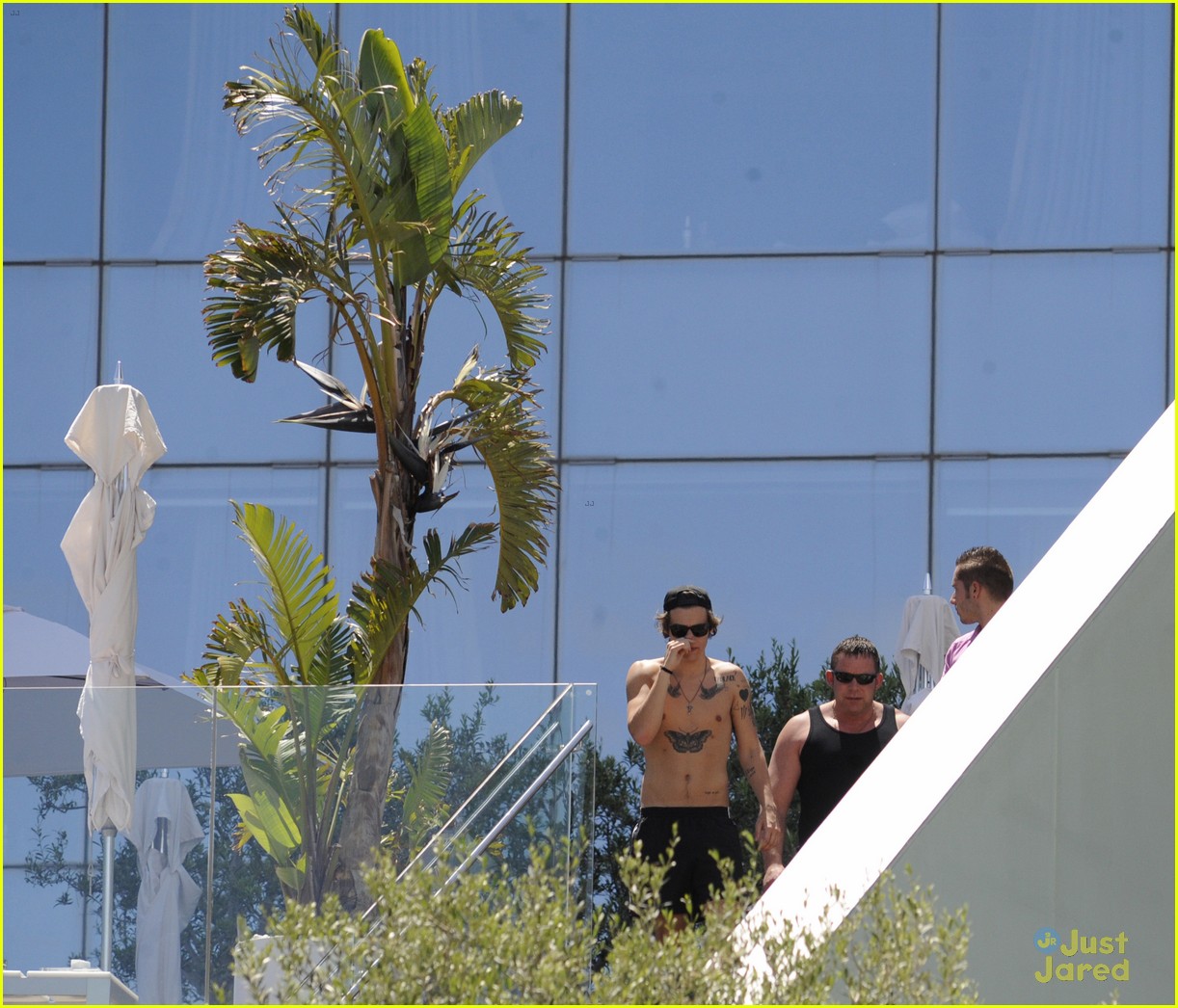 harry styles shirtless pool party 11