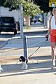 julianne hough bring pet to work day 14