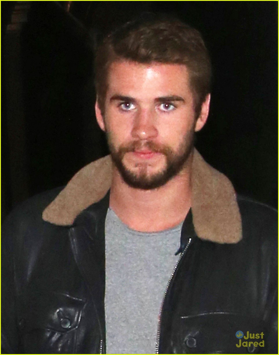 liam hemsworth hangs with brother chris 01
