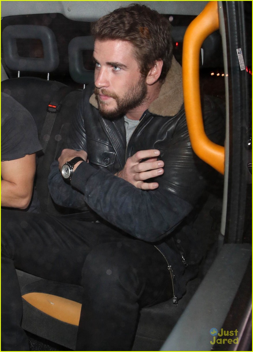 liam hemsworth hangs with brother chris 05