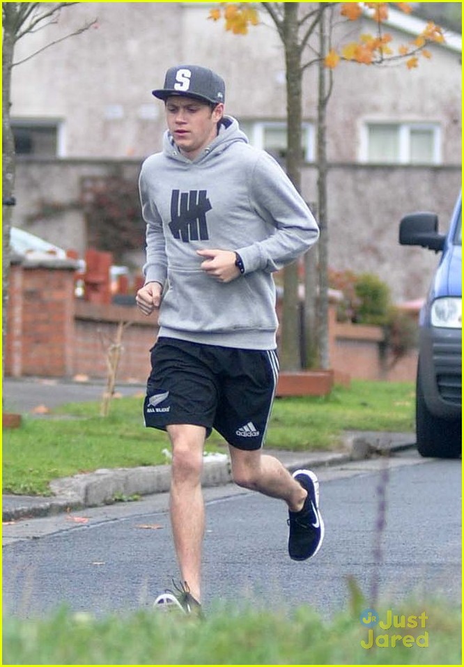 niall horan greets fans in ireland 05