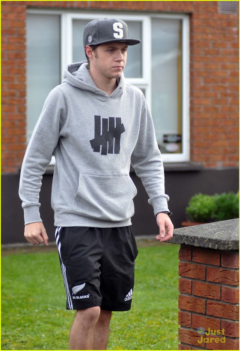 niall horan greets fans in ireland 18