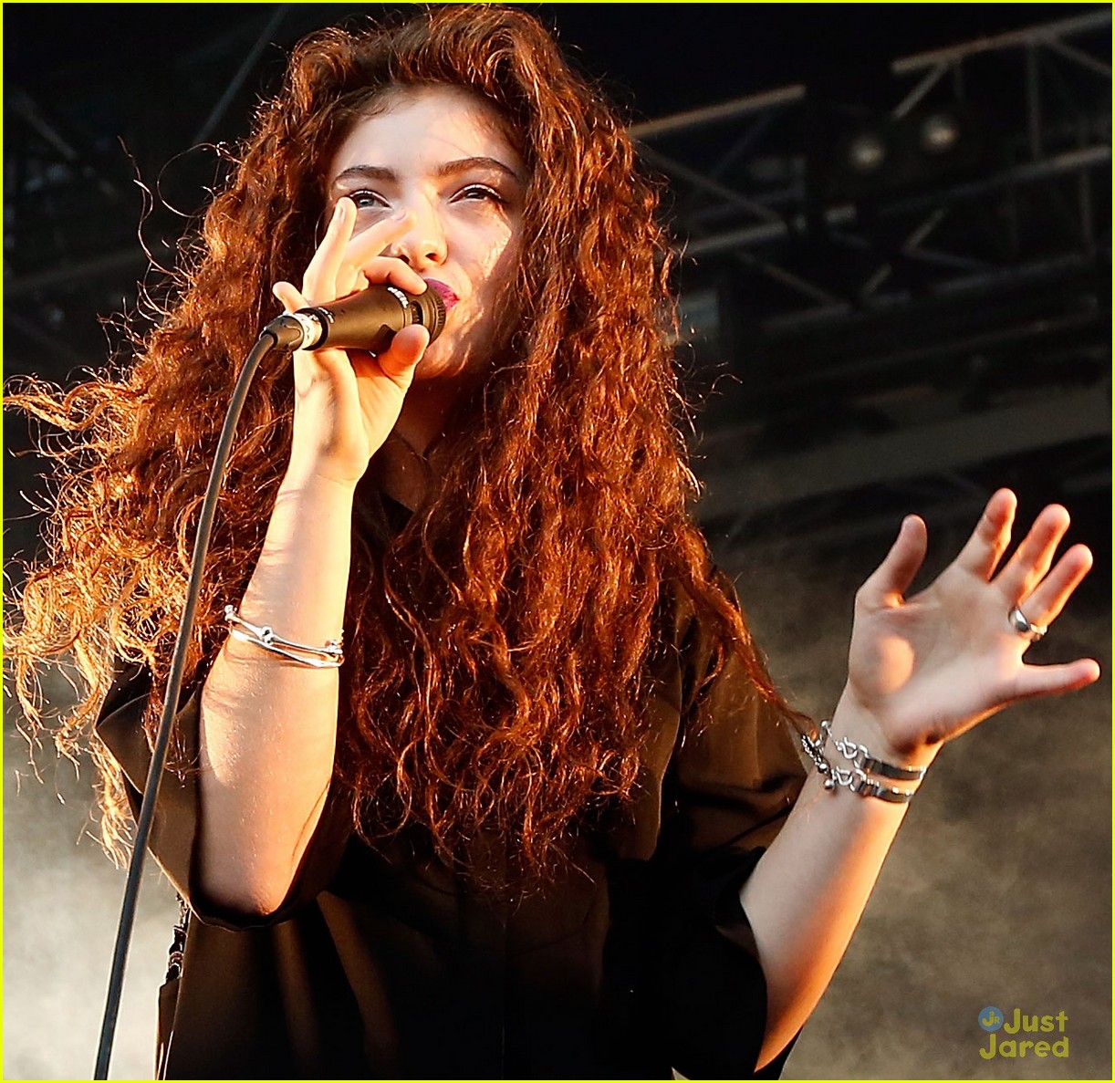 lorde did not post her music on 4chan 03