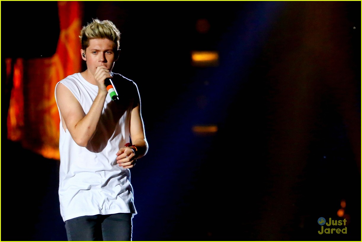 one direction rio brazil concert 02