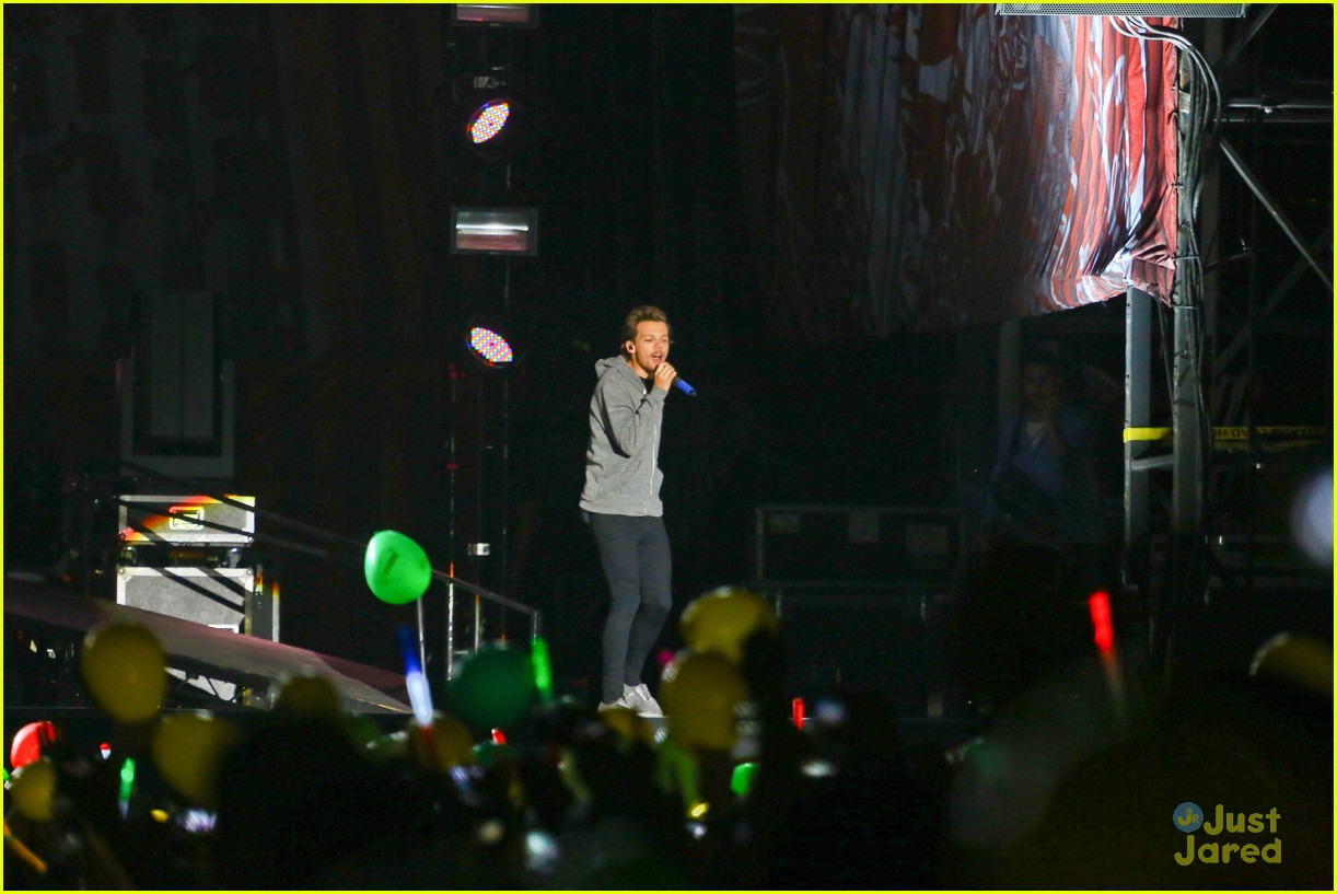 one direction rio brazil concert 05