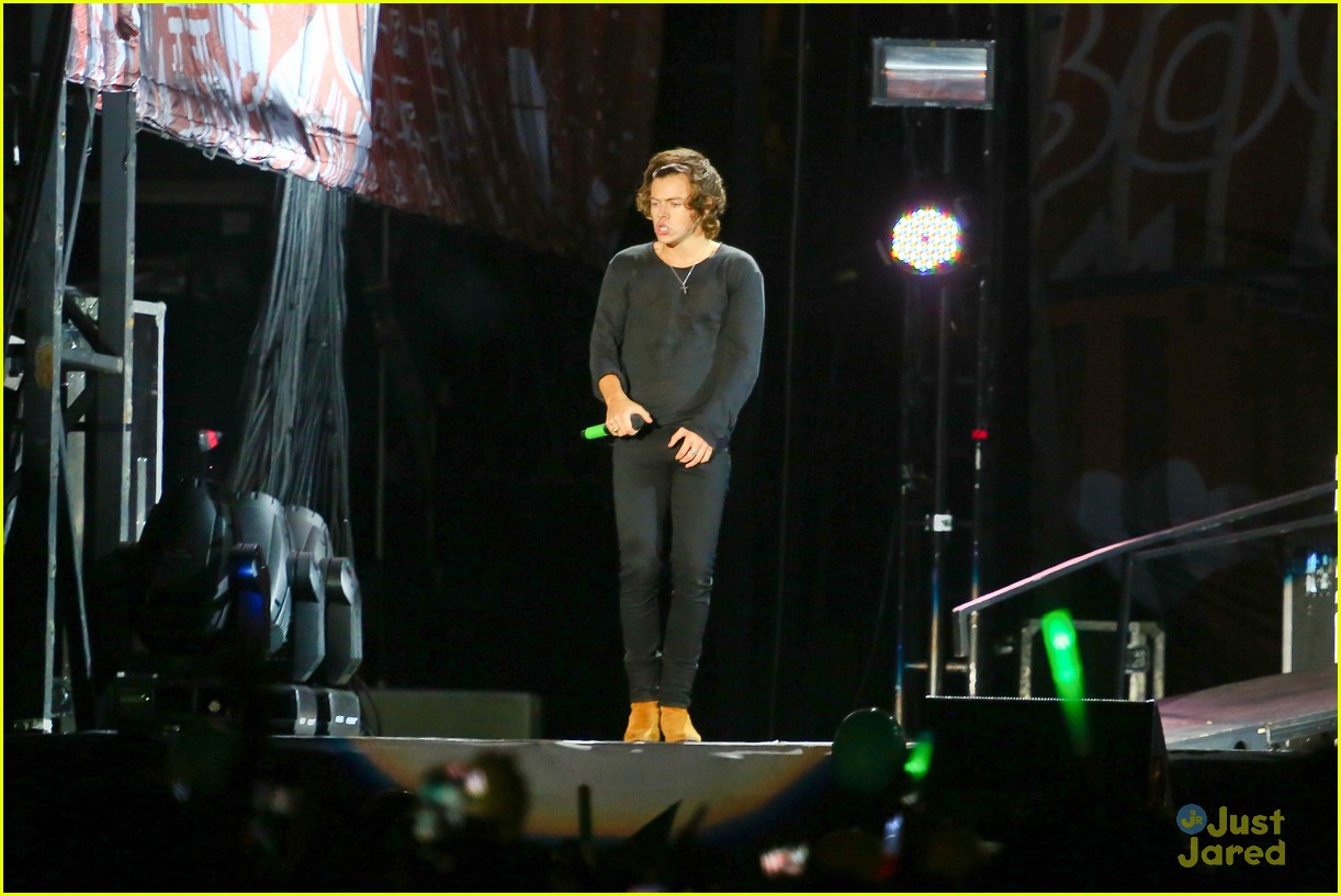 One Direction: See All The Rio Concert Pics Here! | Photo 673386 ...