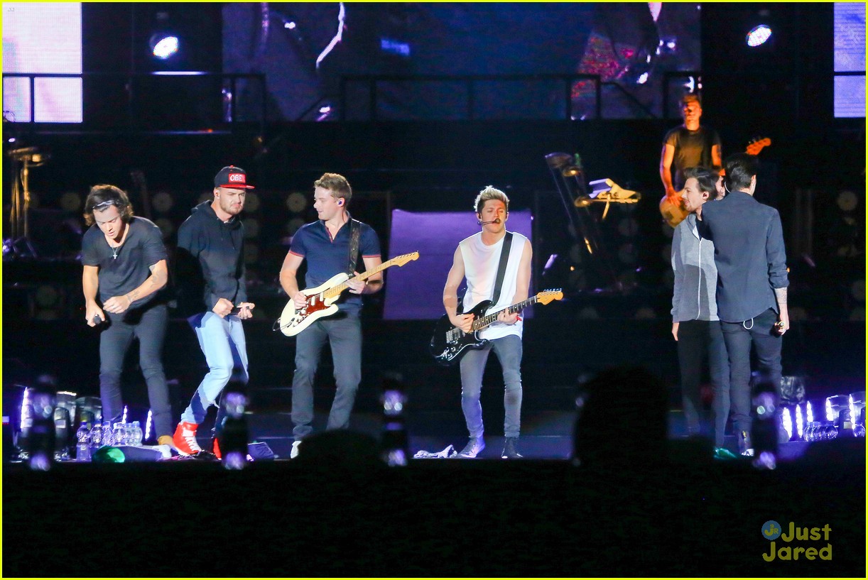 one direction rio brazil concert 14