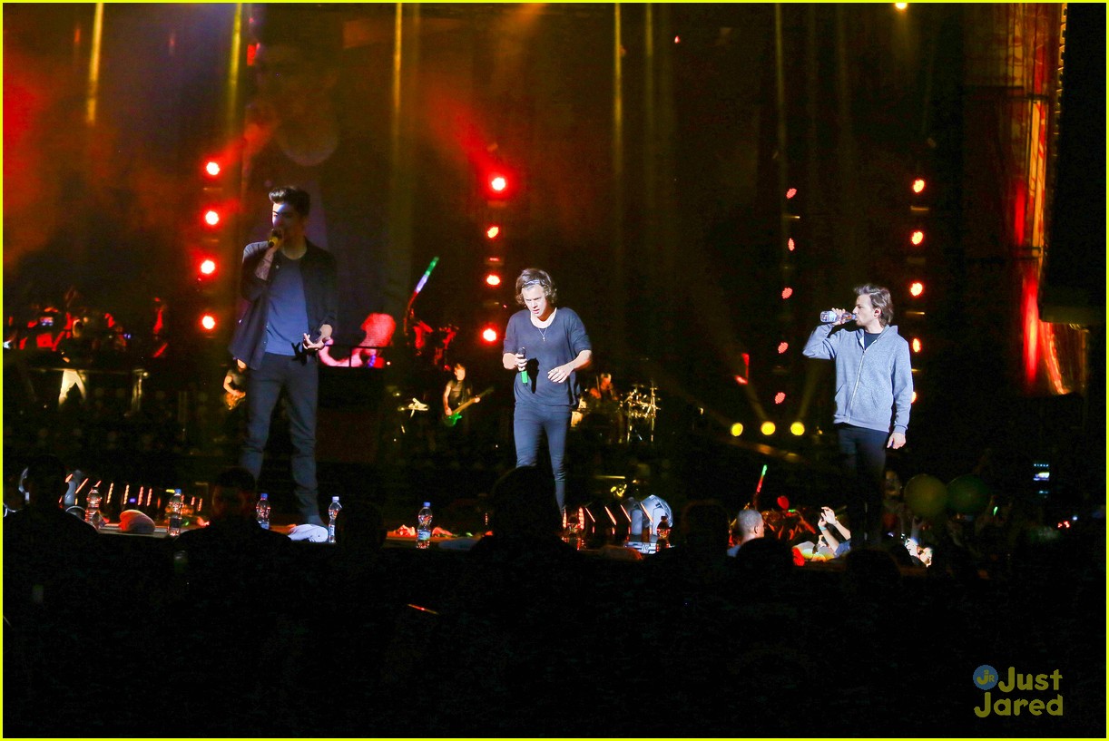 one direction rio brazil concert 17