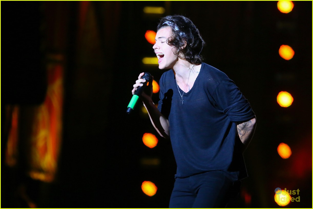 one direction rio brazil concert 18