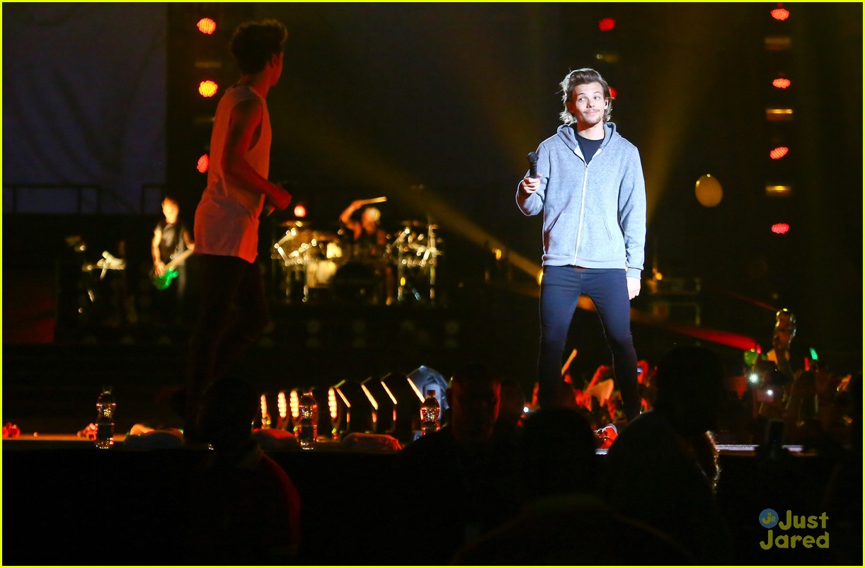 one direction rio brazil concert 20