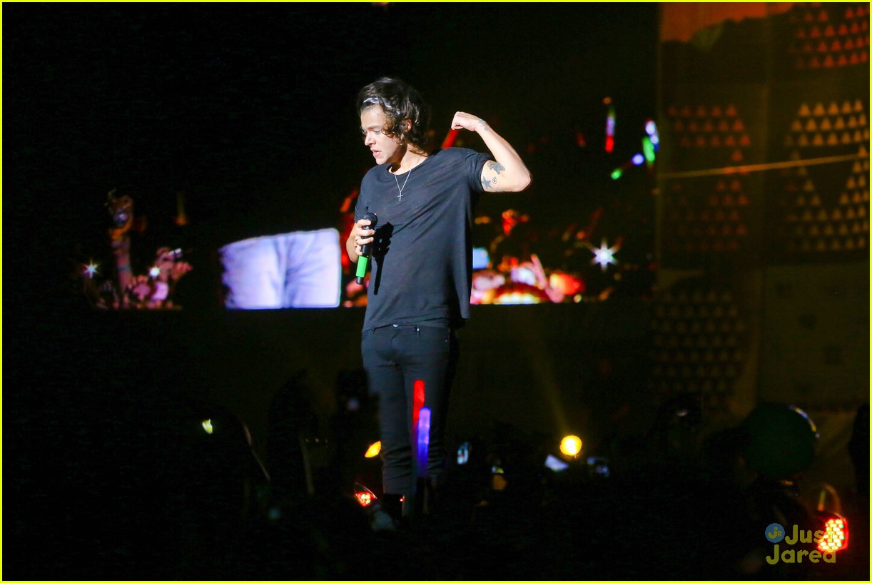 one direction rio brazil concert 22