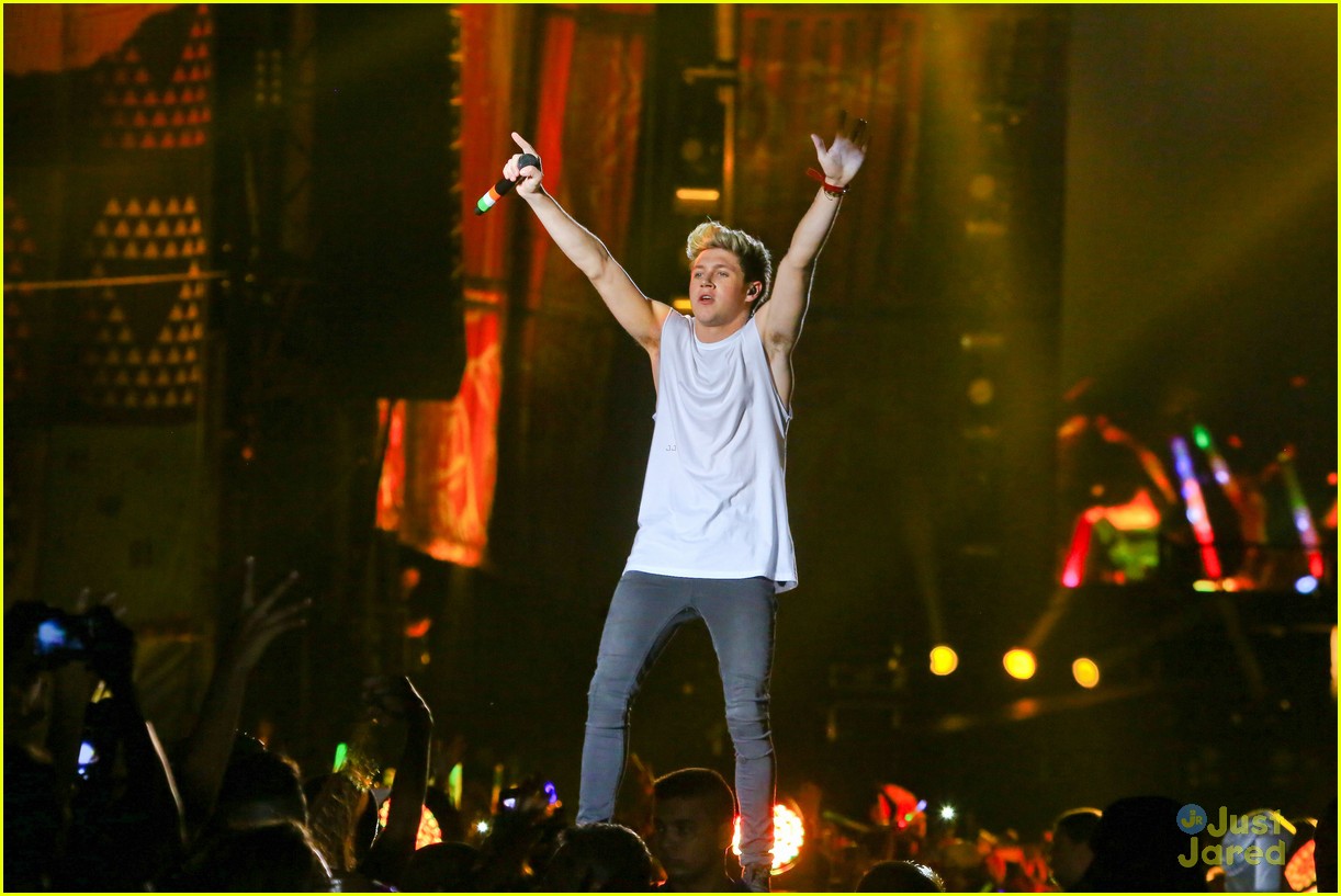 one direction rio brazil concert 23