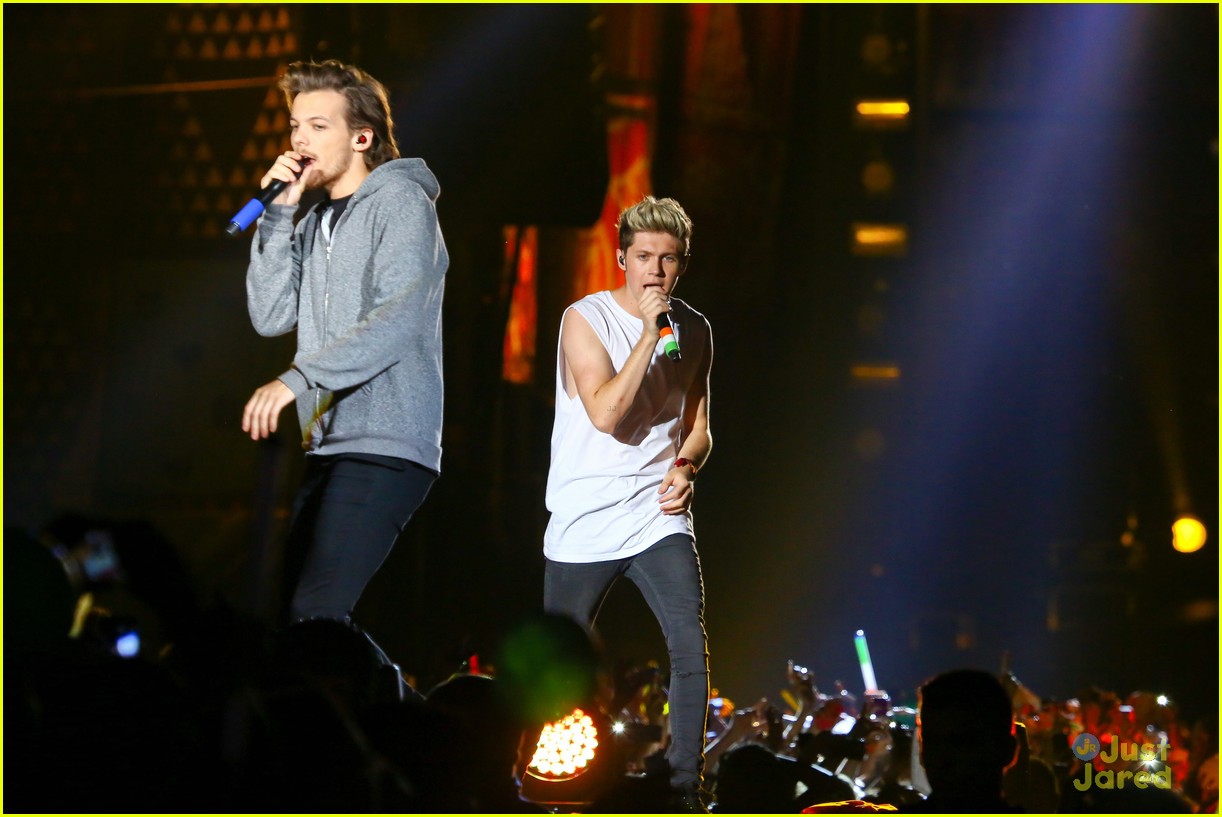 one direction rio brazil concert 26