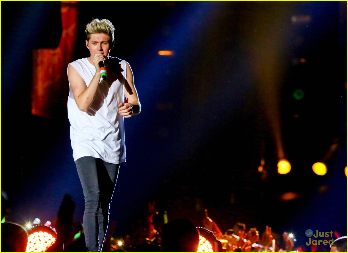 one direction rio brazil concert 28