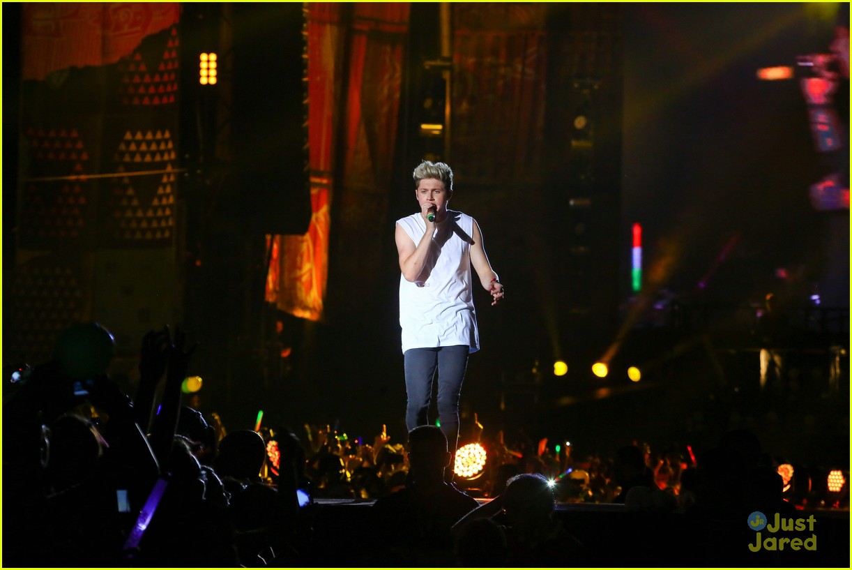 one direction rio brazil concert 29