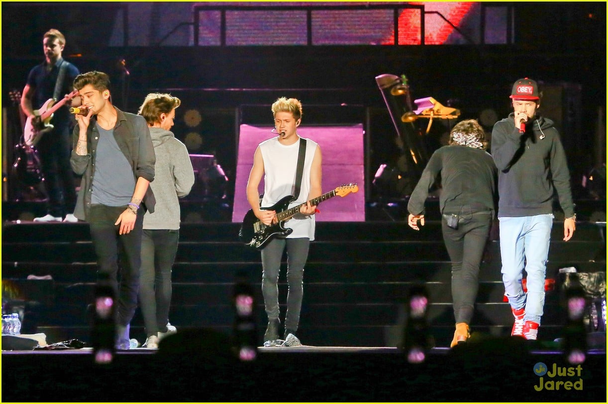 one direction rio brazil concert 31