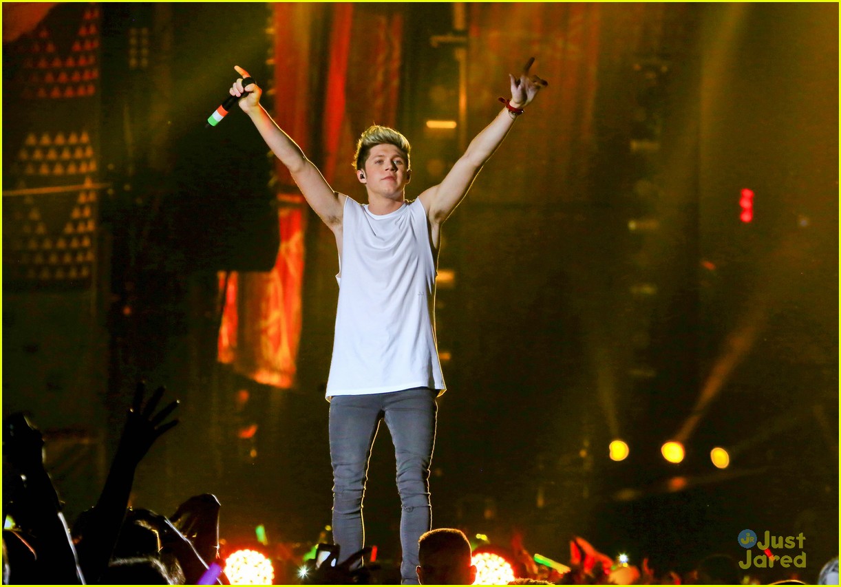 one direction rio brazil concert 33