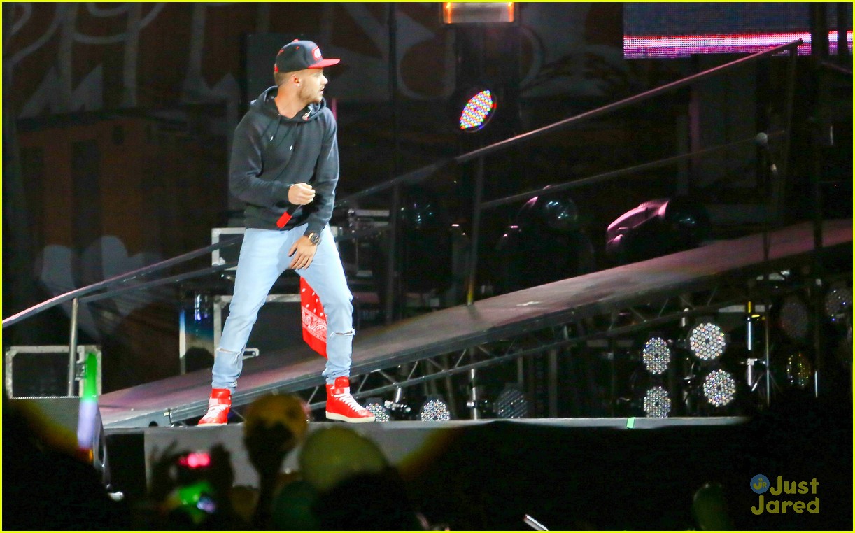 one direction rio brazil concert 35