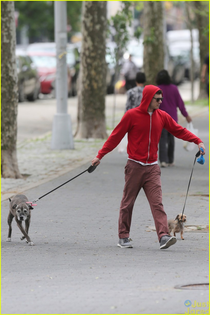 adam brody does doggy duty while wife leighton meester is on broadway05