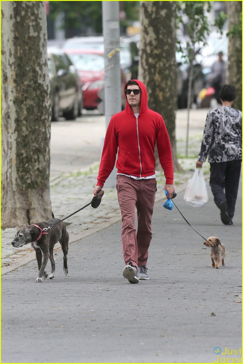 adam brody does doggy duty while wife leighton meester is on broadway08
