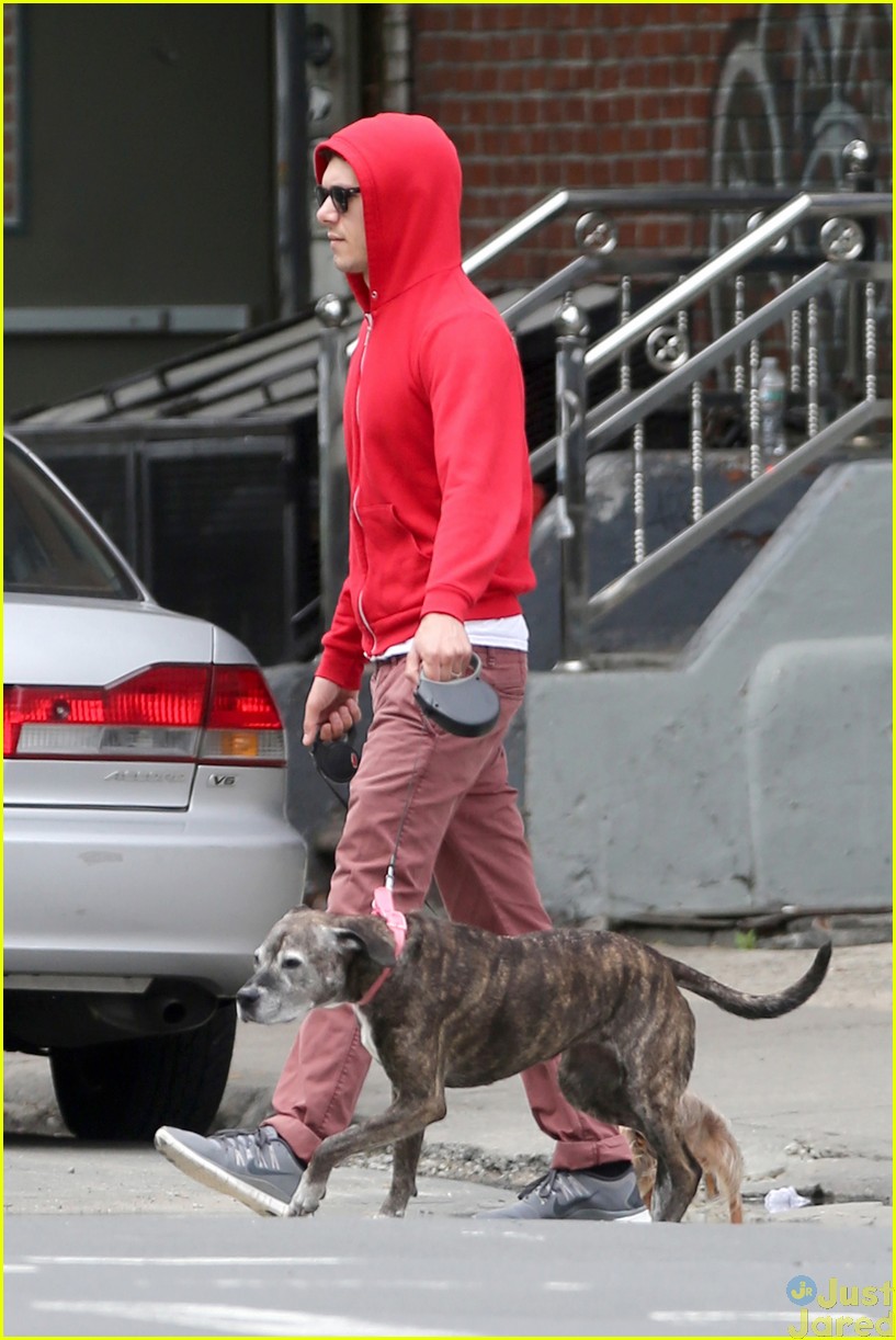 adam brody does doggy duty while wife leighton meester is on broadway09