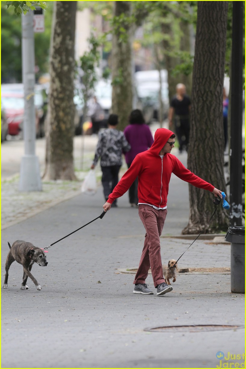 adam brody does doggy duty while wife leighton meester is on broadway14