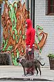 adam brody does doggy duty while wife leighton meester is on broadway04