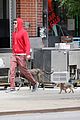 adam brody does doggy duty while wife leighton meester is on broadway06