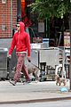 adam brody does doggy duty while wife leighton meester is on broadway07