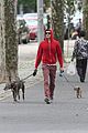 adam brody does doggy duty while wife leighton meester is on broadway08