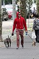 adam brody does doggy duty while wife leighton meester is on broadway11